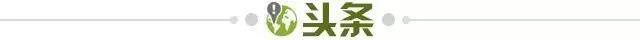 开云下载-【早报】又要算分了？国足主场战平泰国，失出线良机！